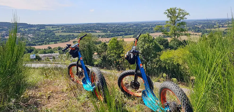 Trott & Nature