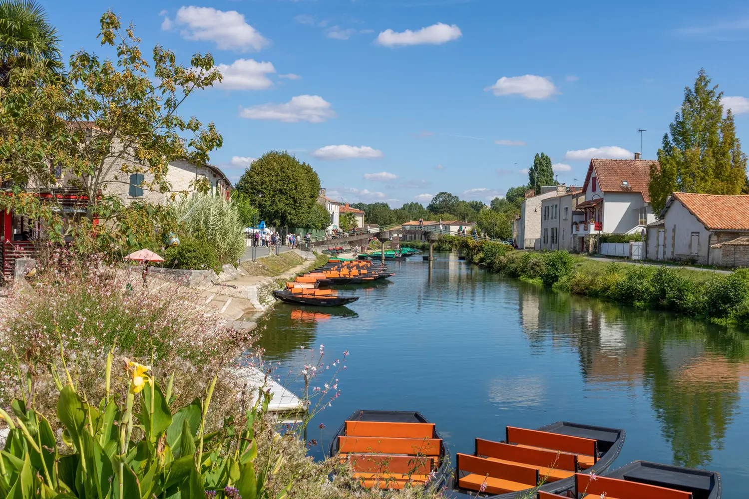 Le Marais poitevin