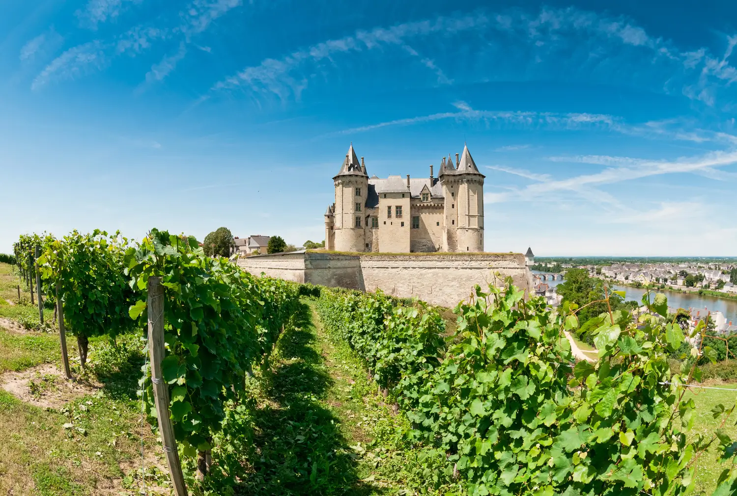 Saumur et ses vignobles 